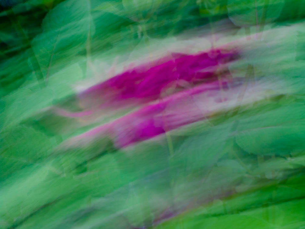 Slow shutter subject or camera movement #7