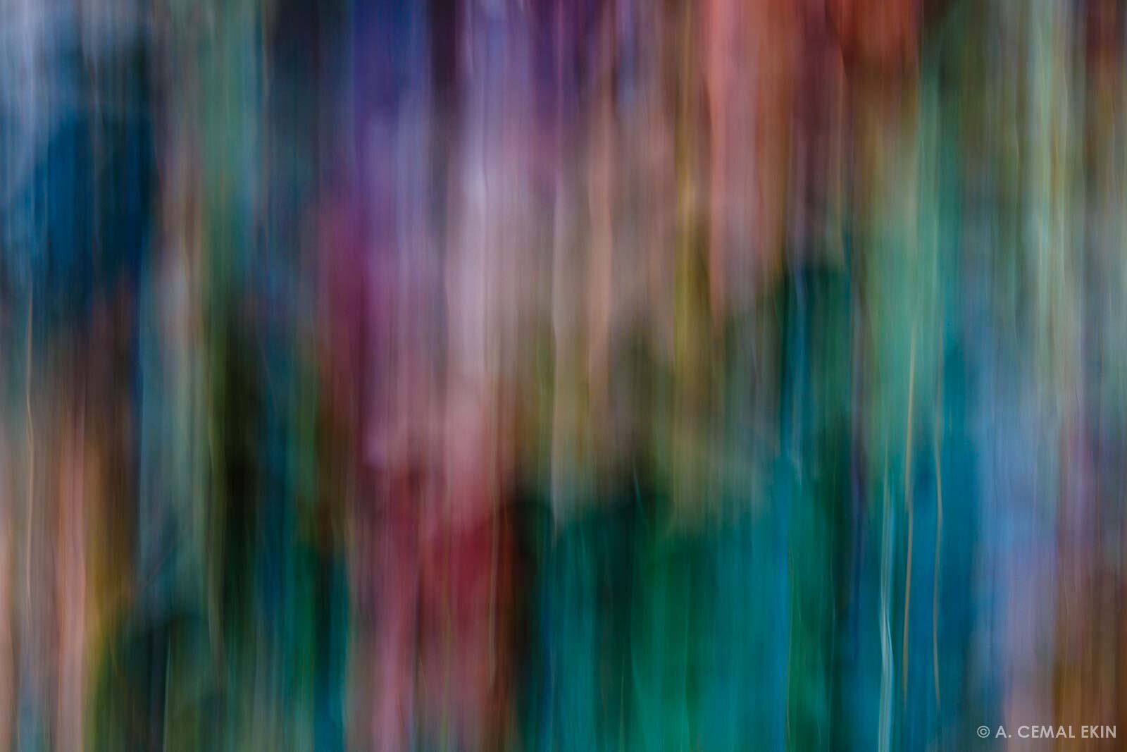 Fall Colors Abstract