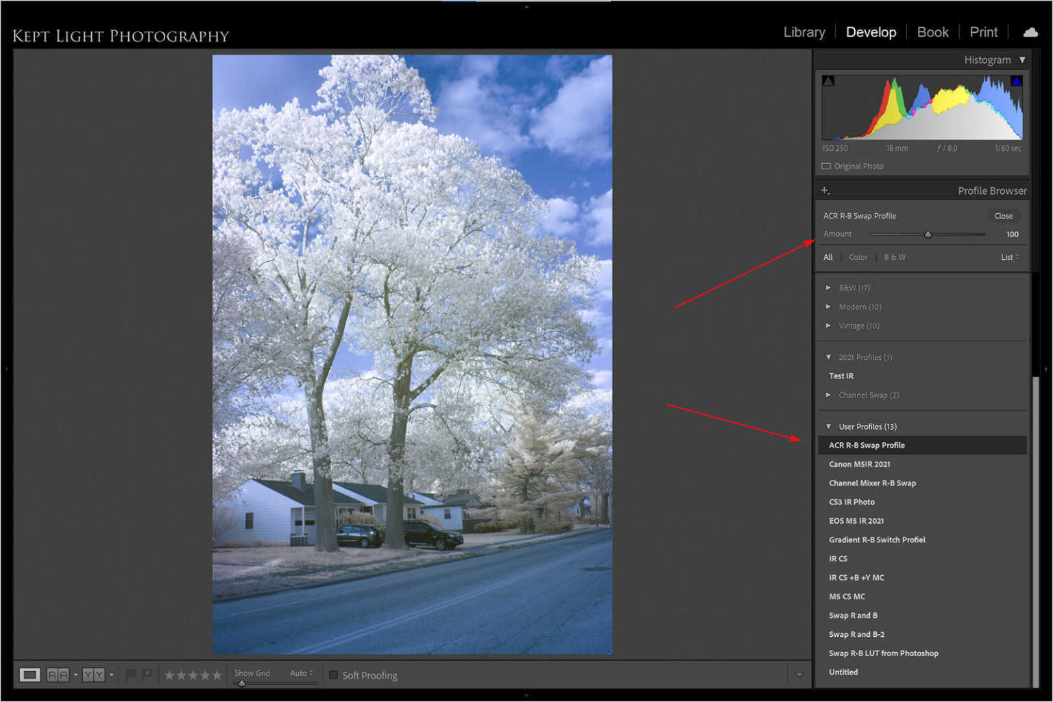 Use the camera profile in Lightroom