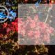 Copyright information embedded